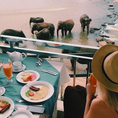 Hotel Elephant Park Grand Royal Pinnalanda Pinnawala  Bagian luar foto