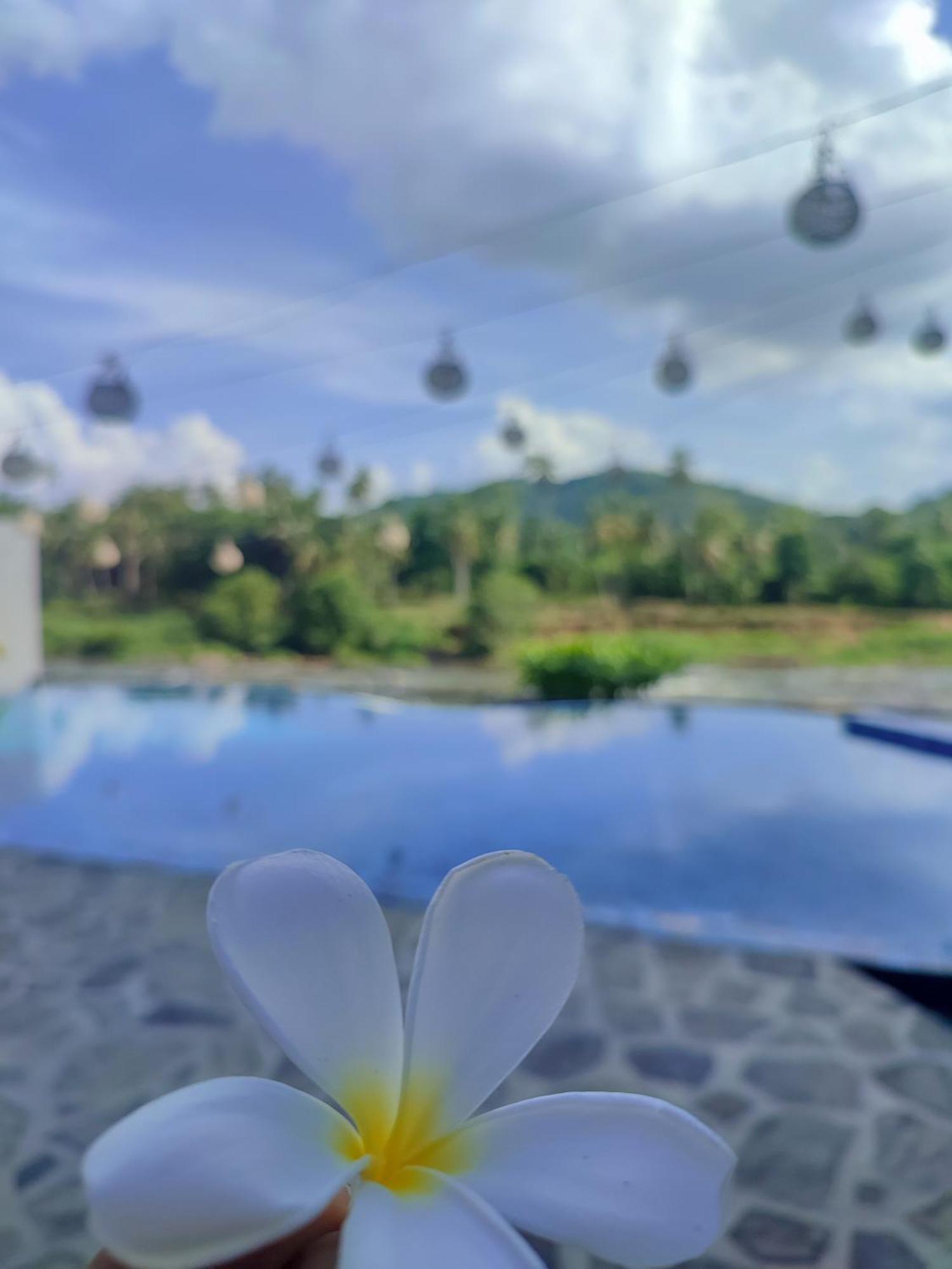 Hotel Elephant Park Grand Royal Pinnalanda Pinnawala  Bagian luar foto