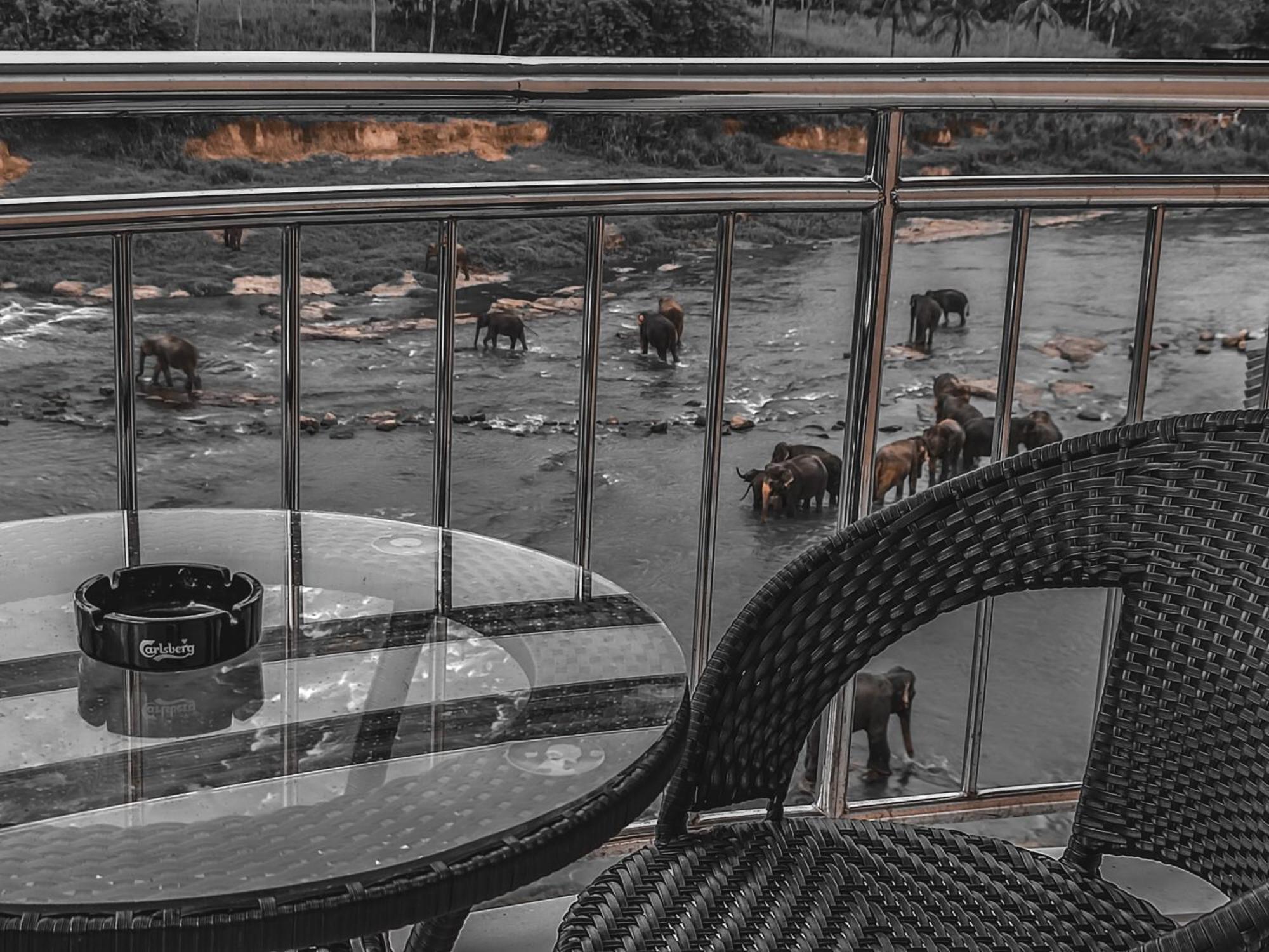 Hotel Elephant Park Grand Royal Pinnalanda Pinnawala  Bagian luar foto