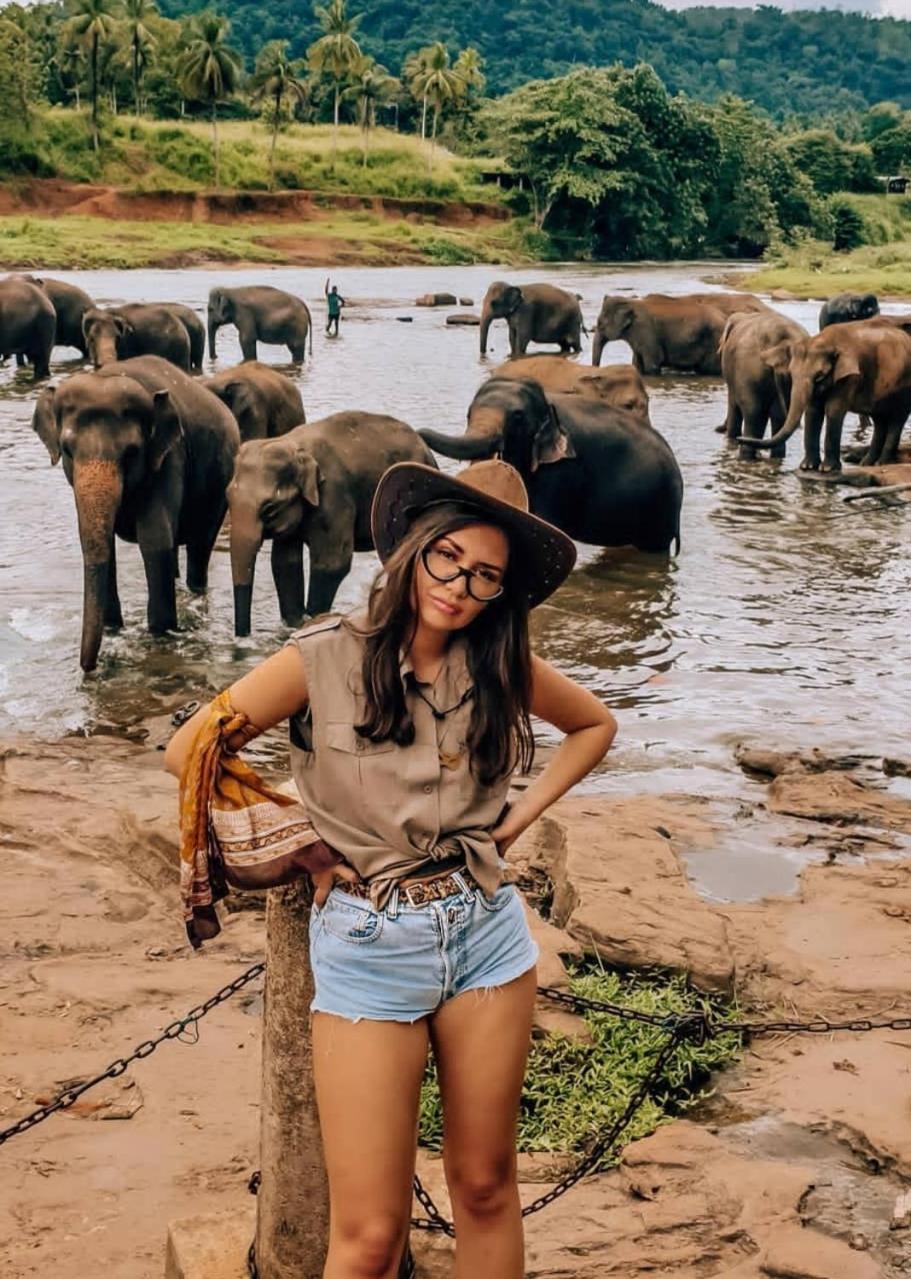 Hotel Elephant Park Grand Royal Pinnalanda Pinnawala  Bagian luar foto