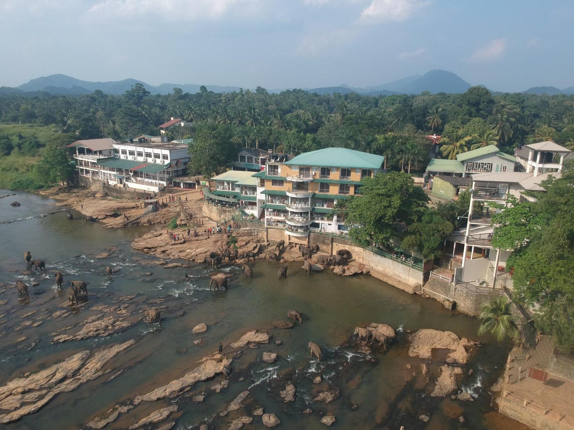 Hotel Elephant Park Grand Royal Pinnalanda Pinnawala  Bagian luar foto