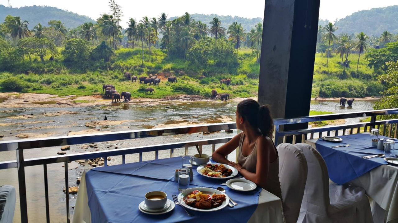 Hotel Elephant Park Grand Royal Pinnalanda Pinnawala  Bagian luar foto