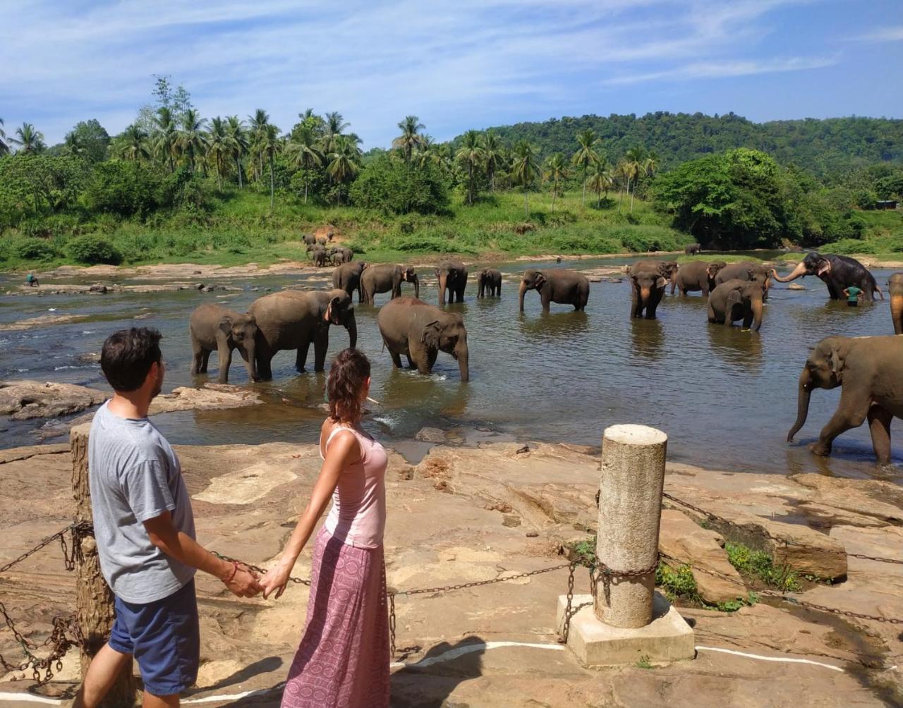 Hotel Elephant Park Grand Royal Pinnalanda Pinnawala  Bagian luar foto
