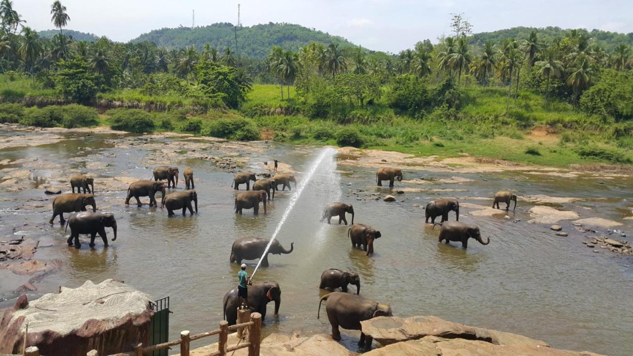 Hotel Elephant Park Grand Royal Pinnalanda Pinnawala  Bagian luar foto