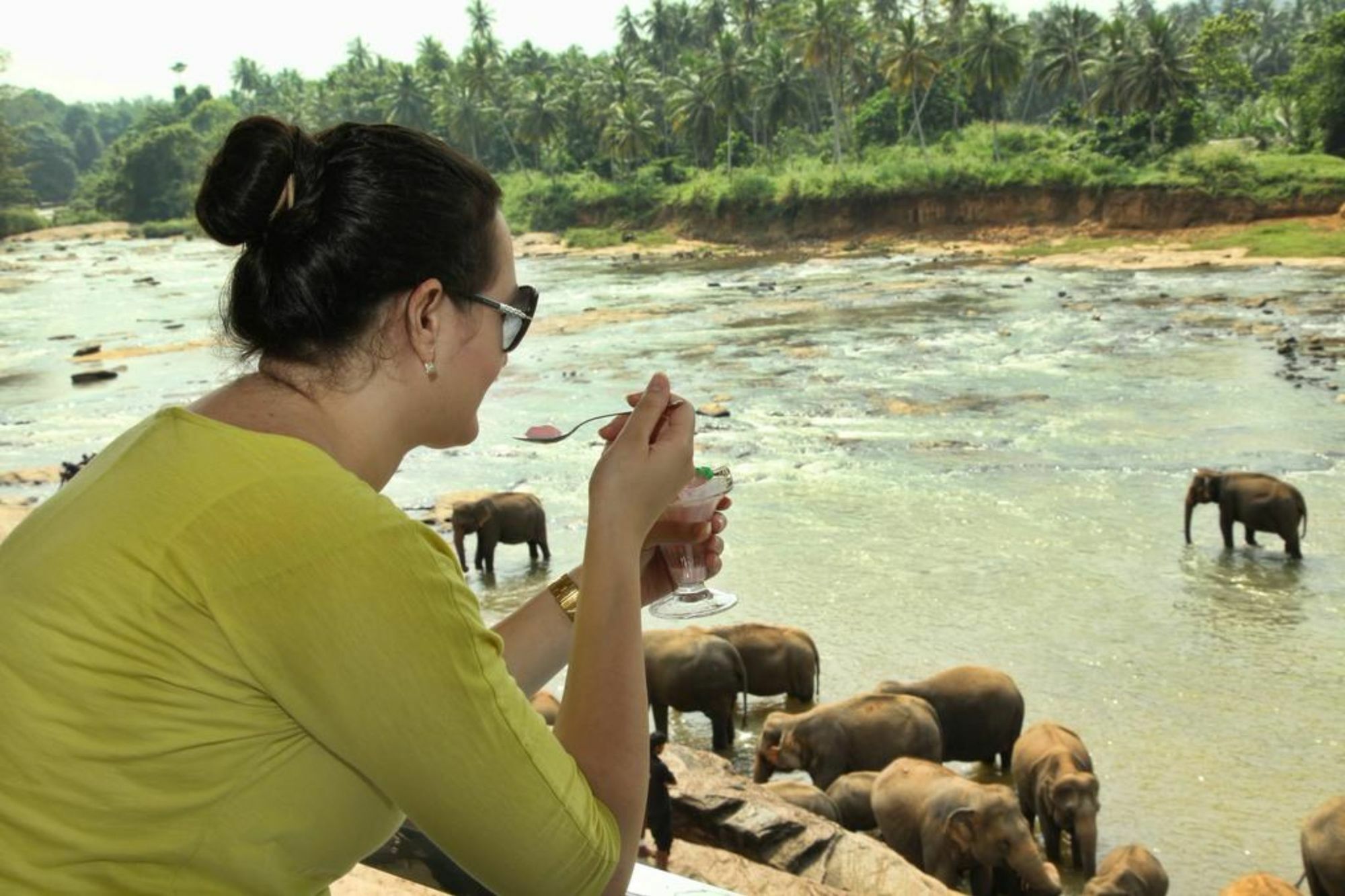 Hotel Elephant Park Grand Royal Pinnalanda Pinnawala  Bagian luar foto