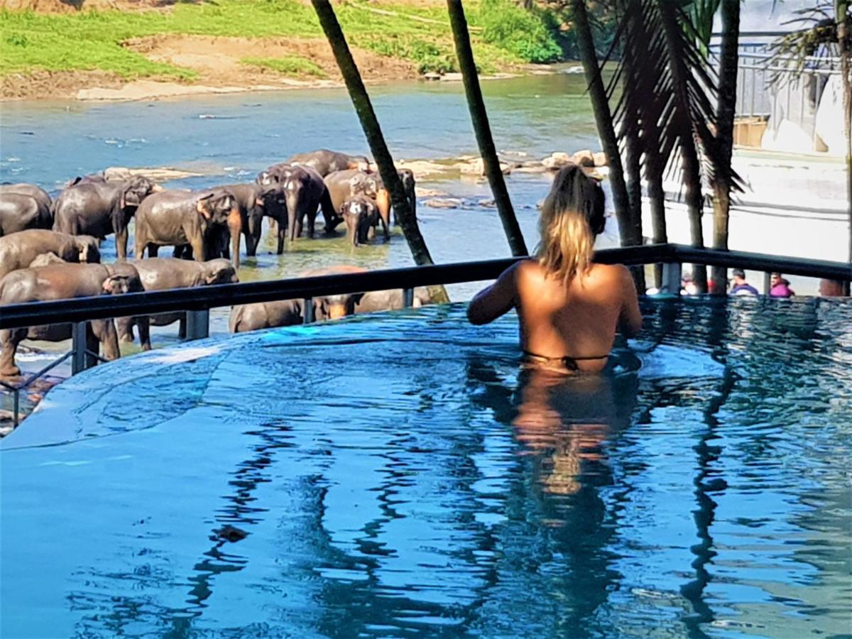 Hotel Elephant Park Grand Royal Pinnalanda Pinnawala  Bagian luar foto