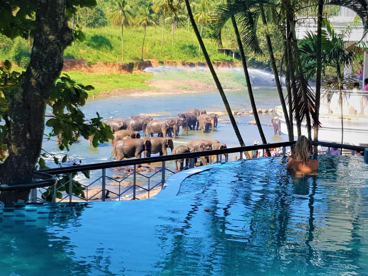 Hotel Elephant Park Grand Royal Pinnalanda Pinnawala  Bagian luar foto